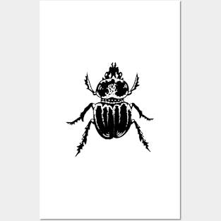 Beetle 1 Posters and Art